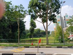Blk 588A Montreal Spring (Sembawang), HDB 5 Rooms #588180501